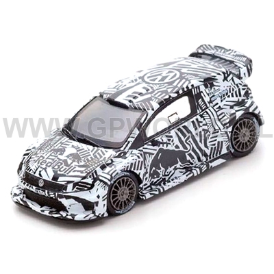 Volkswagen polo WRC testcar
