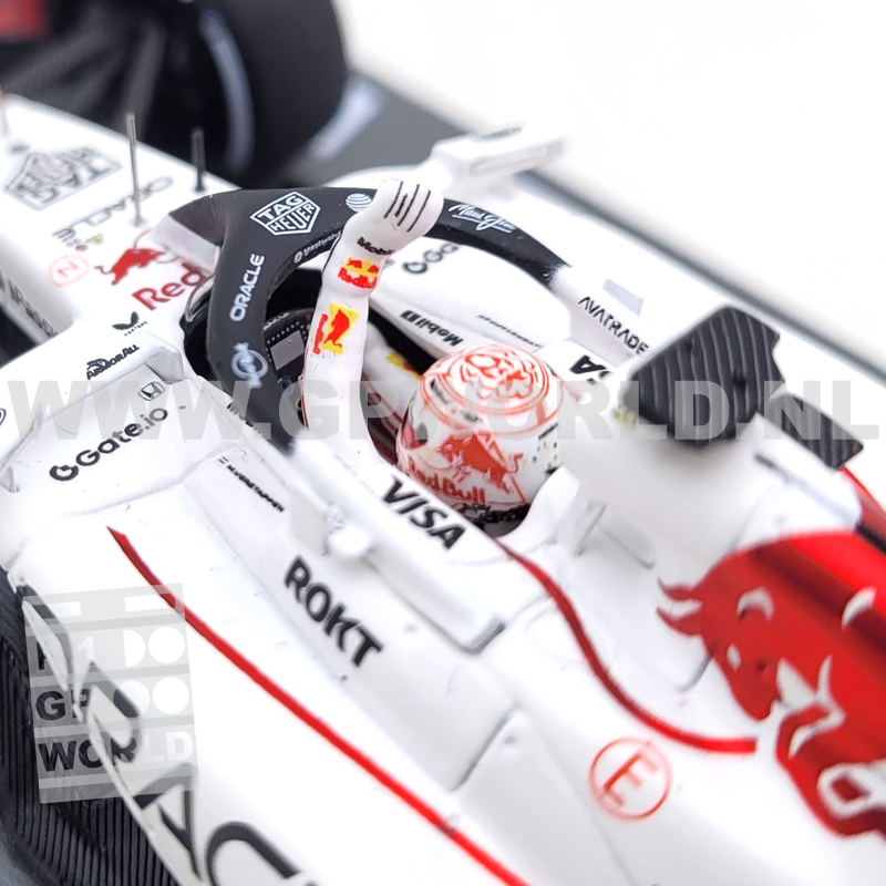 2025 Max Verstappen | Japanese GP