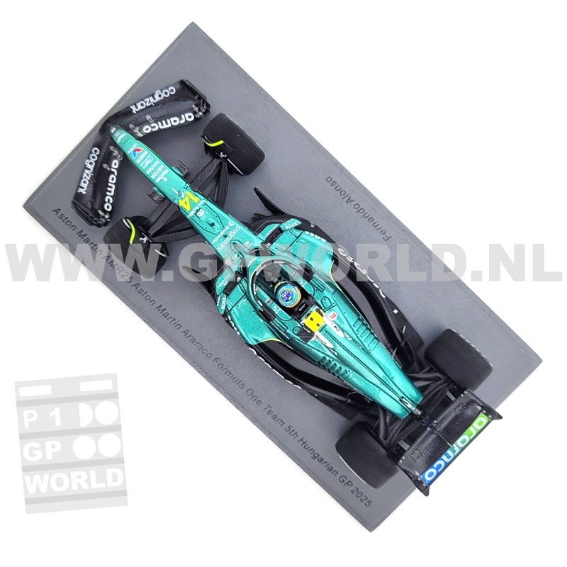2025 Fernando Alonso | Hungary GP