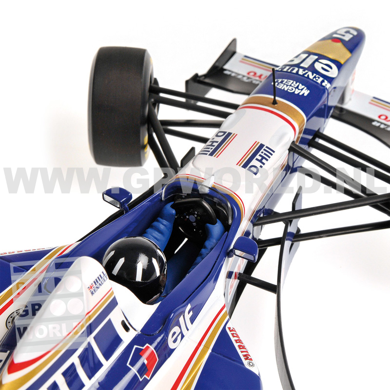 1996 Damon Hill | World Champion