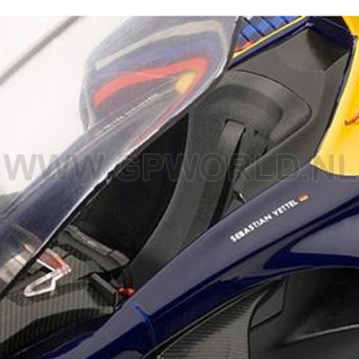 Red Bull X2010