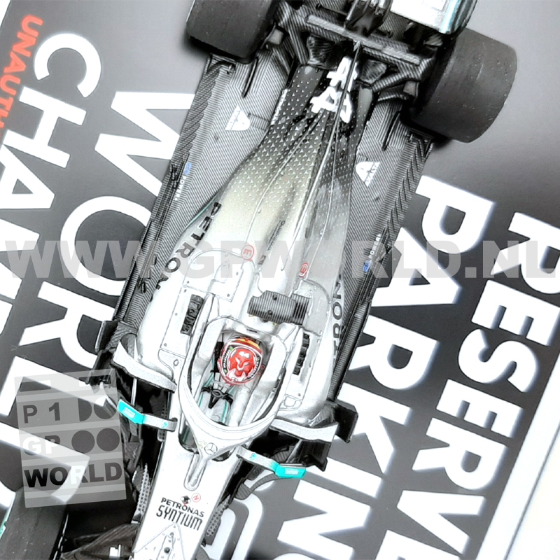 2019 Lewis Hamilton | World Champion
