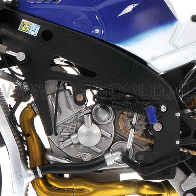2009 Valentino Rossi