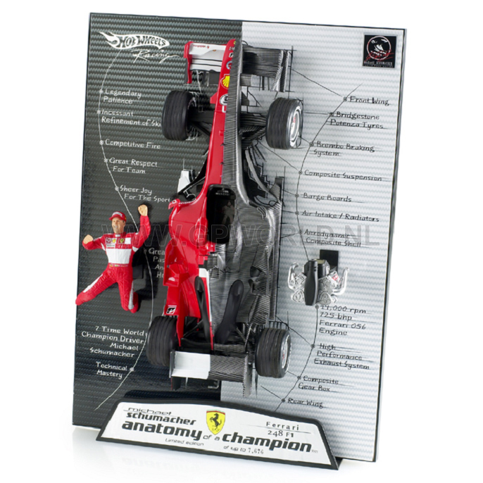 Michael Schumacher Anatomy